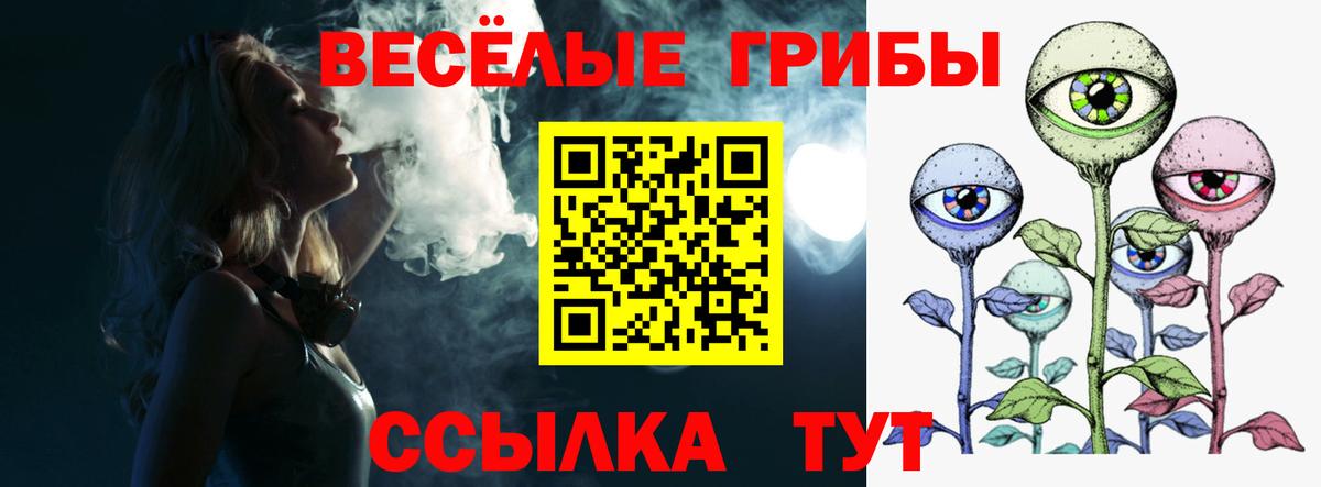 Галлюциногенные грибы Psilocybe Россия