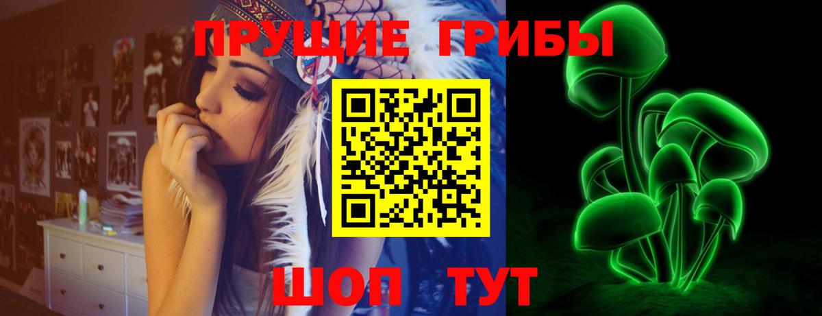Россия  Псилоцибиновые грибы MAGIC MUSHROOMS  Вход с VPN  Псилоцибиновые грибы Cubensis 