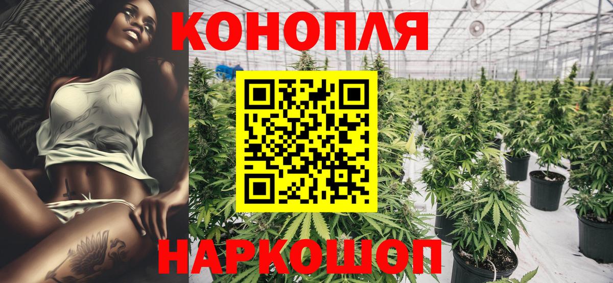 Шишки марихуана гибрид  Каннабис план  Марихуана конопля  Россия  Марихуана SATIVA & INDICA  Вход с VPN 